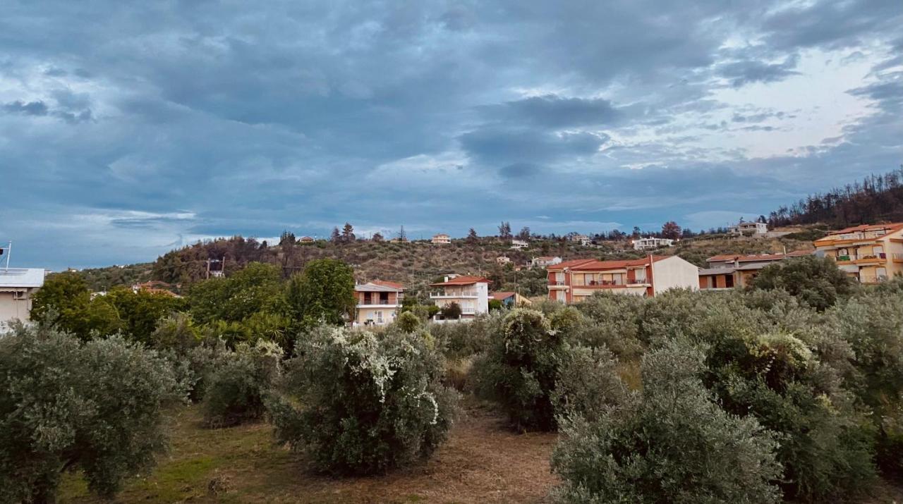 Diana Studios Pefki  Bagian luar foto